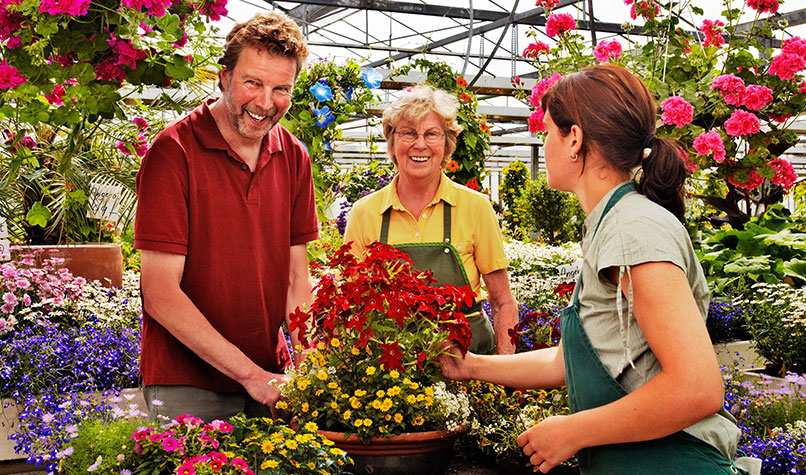 An older couple surrounded by colourful flowers working in a garden centre with a younger woman.