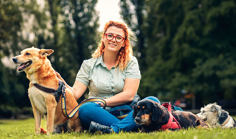 A woman sat on grass with three dogs